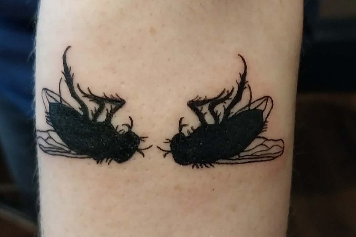 A matching pair of blackwork houseflies facing each other across a forearm